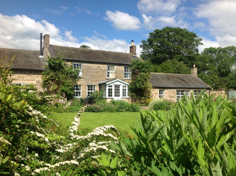 Netherwitton Village Gardens